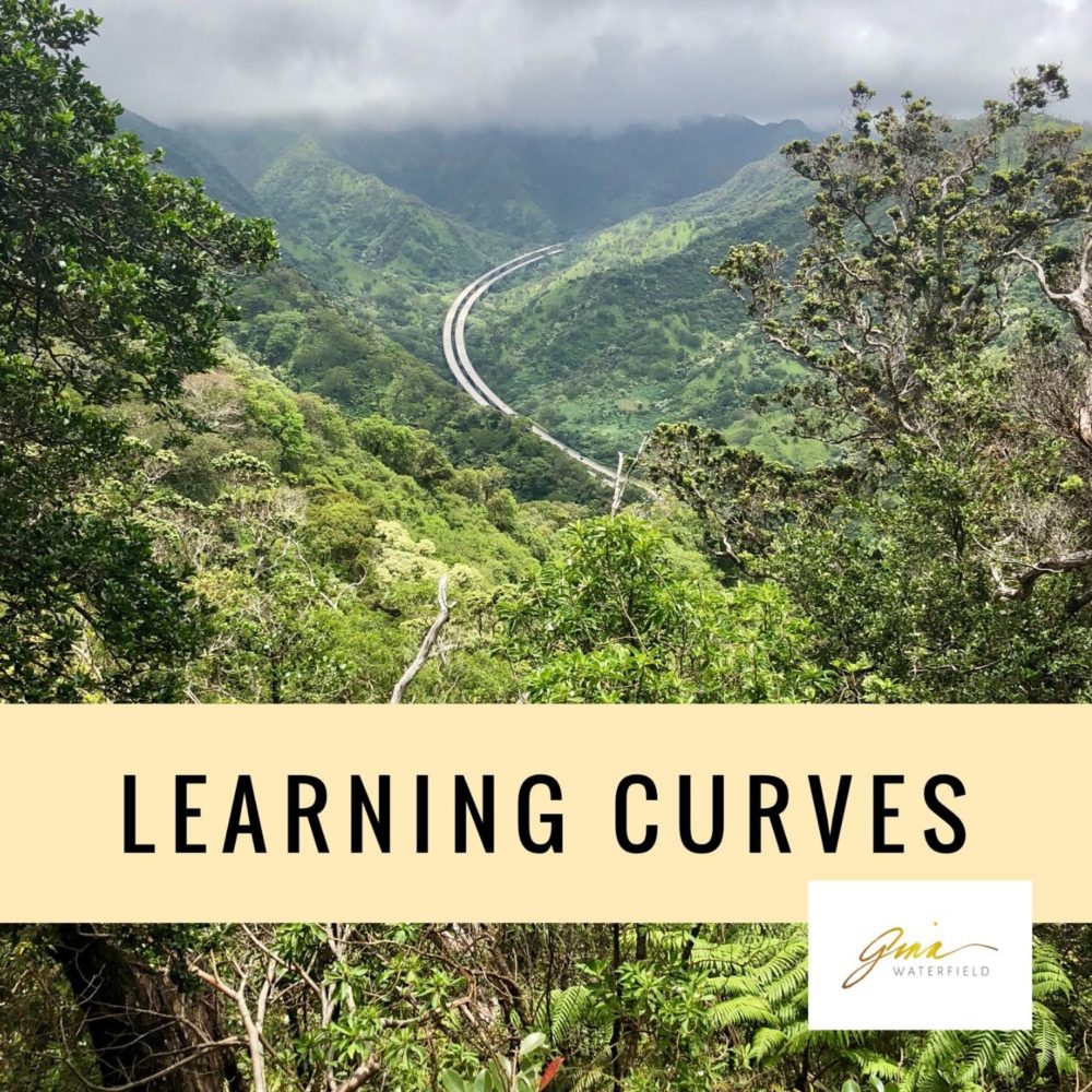 LEARNING CURVES.